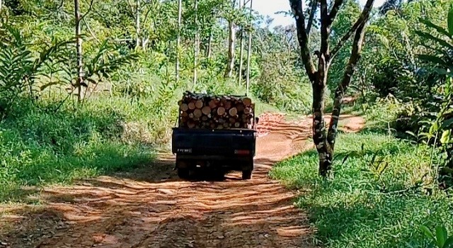 Kendaraan bermuatan kayu keluar dari kawasan perbukitan hulu DAS Air Dingin, Koto Tangah, Kota Padang, Kamis, 23/7/2026. Tanah di perbukitan ini longsor saat banjir bandang menerjang Sumatra Barat pada November 2025.