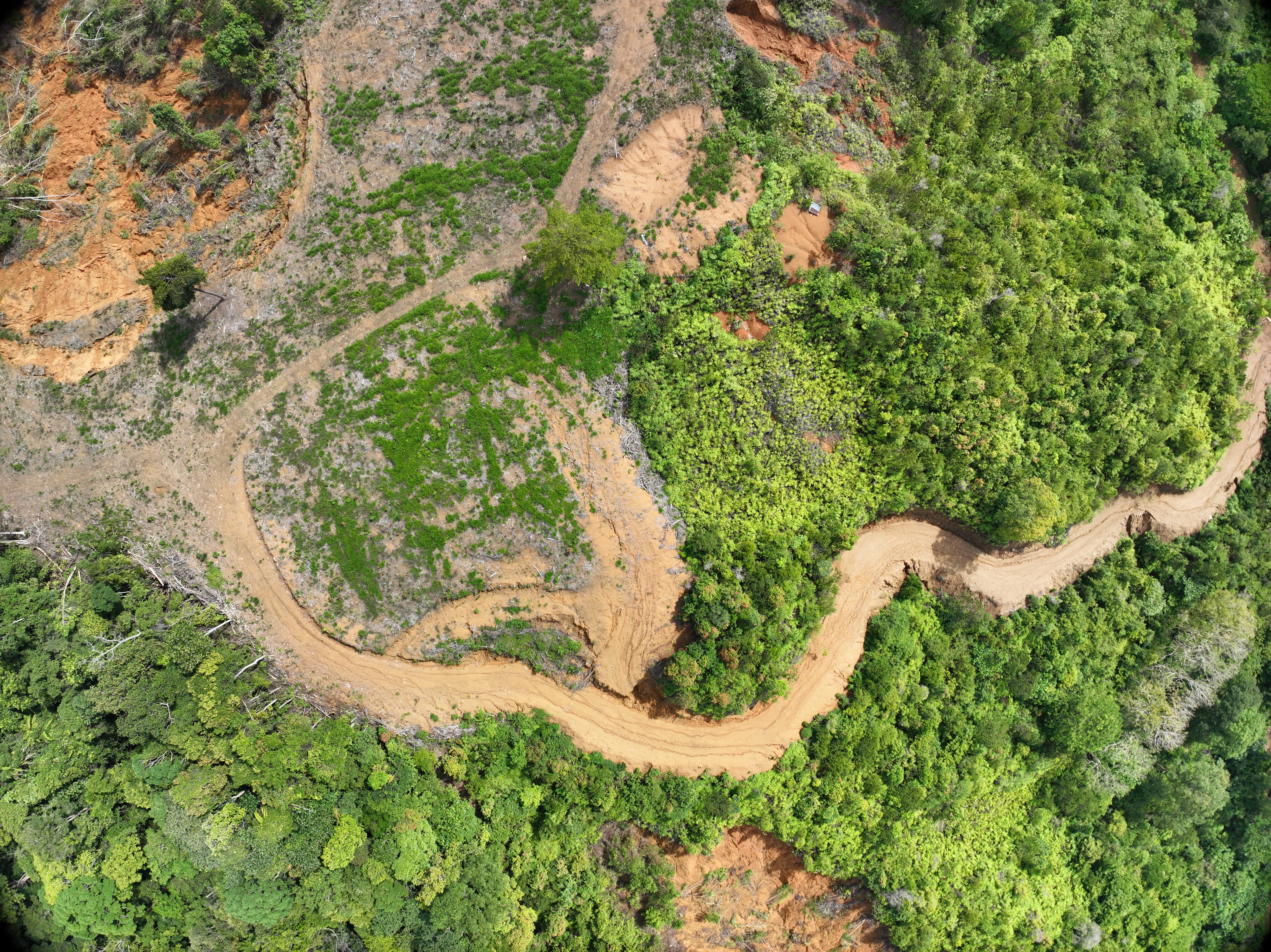Jalur longsor di sekitar lokasi pembukaan lahan milik Fauzi, Kamis, 23/7/2026. Material kayu dan tanah dari kawasan tersebut terbawa arus banjir bandang hingga menghantam permukiman penduduk di Kota Padang, November 2025.