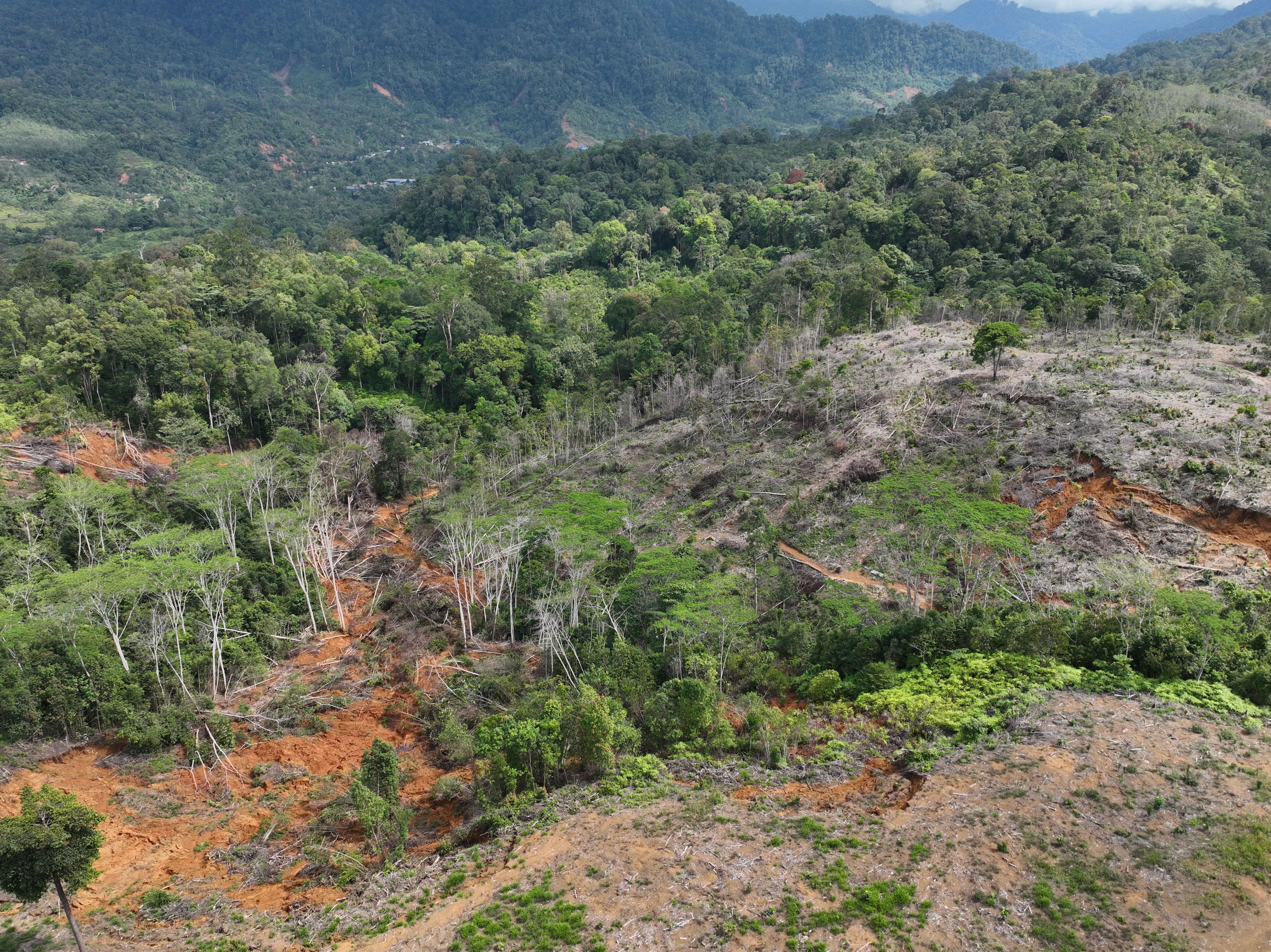 Jalur longsor di sekitar lokasi pembukaan lahan milik Fauzi, Kamis, 23/7/2026. Material kayu dan tanah dari kawasan tersebut terbawa arus banjir bandang hingga menghantam permukiman penduduk di Kota Padang, November 2025.